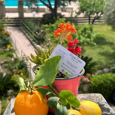 Piccolo Podere Apartment Melilli Bagian luar foto