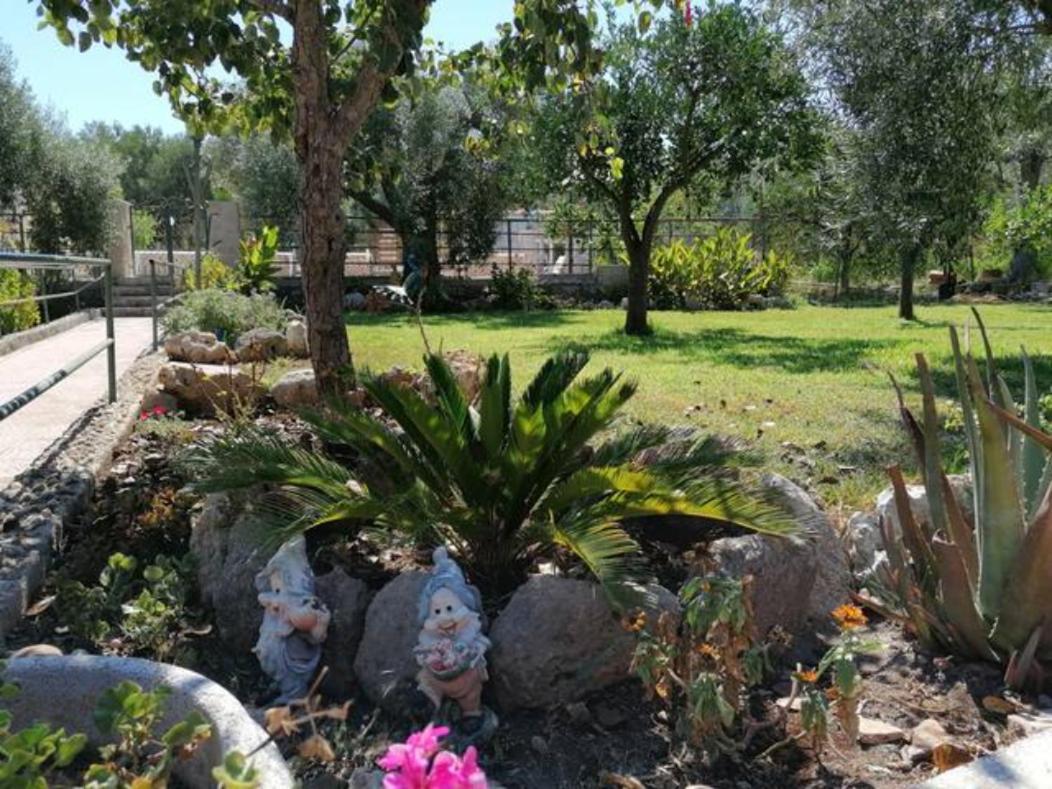 Piccolo Podere Apartment Melilli Bagian luar foto